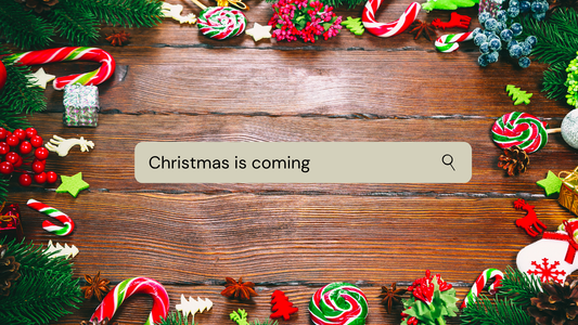 How to Prepare for Holiday Shopping at The Family Flips