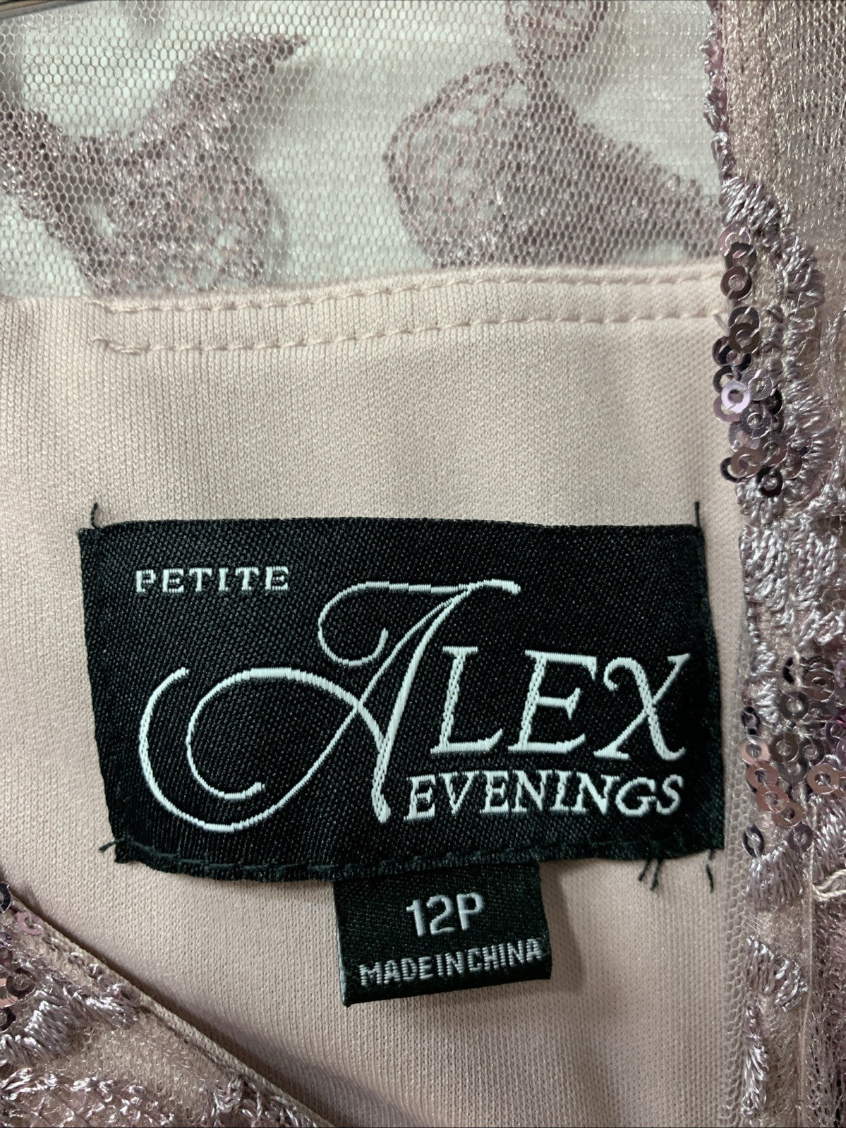 Alex Evenings Women's Long Lace Top Empire Waist Dress 3/4
