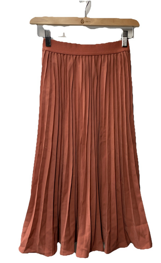 Grace & Elastic Waist Pleated Chiffon Midi Skirt A-line Size XS Brown Pullon