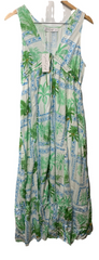 Petal & Pup Women's Rhiannon Maxi Dress Sleeveless Deep V-Neck Front Tie Medium