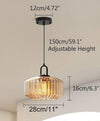 Vintage Plug-In Pendant Light for Dining Room Kitchen Ceiling Hanging Light