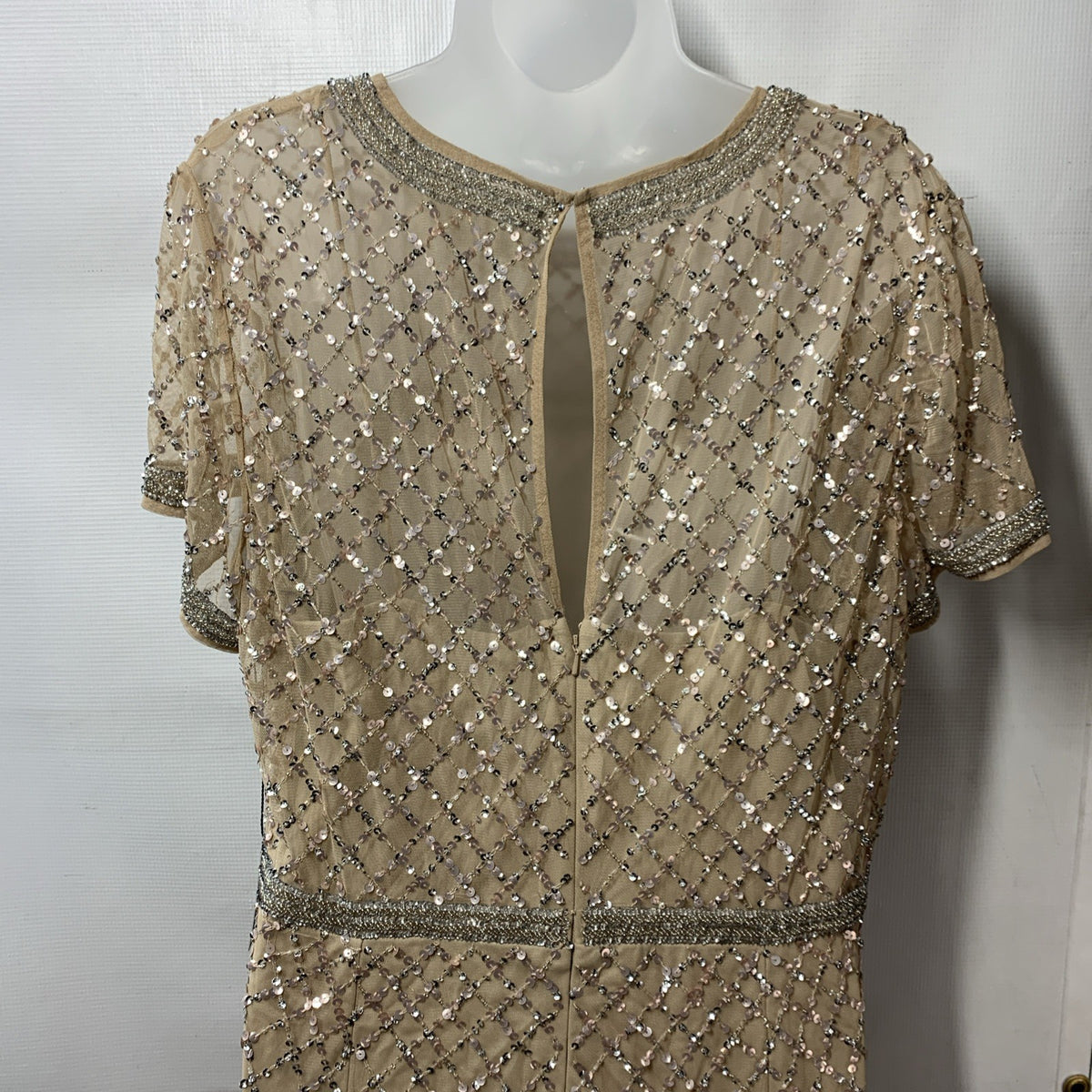 Adrianna Papell Champagne Beaded Gown Embellished Formal Gala Short Sleeve 18