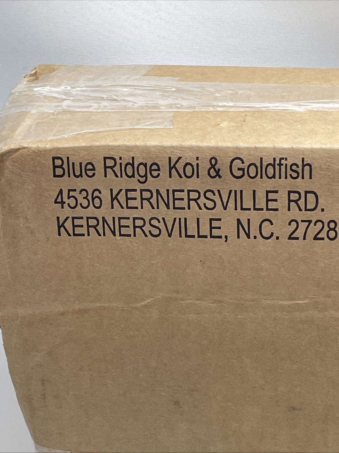 Blue Ridge Koi Fish Food, Probiotic Plus Formula 3/16" Pellets 25lbs 36% Protein