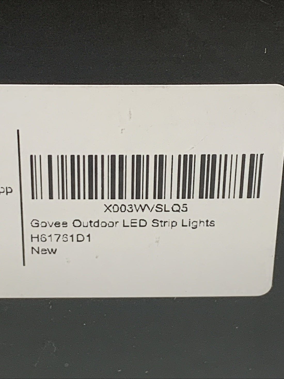 Govee H6176 Outdoor LED Strip Lights 98.4ft Smart Outdoor Lights Work with Alexa