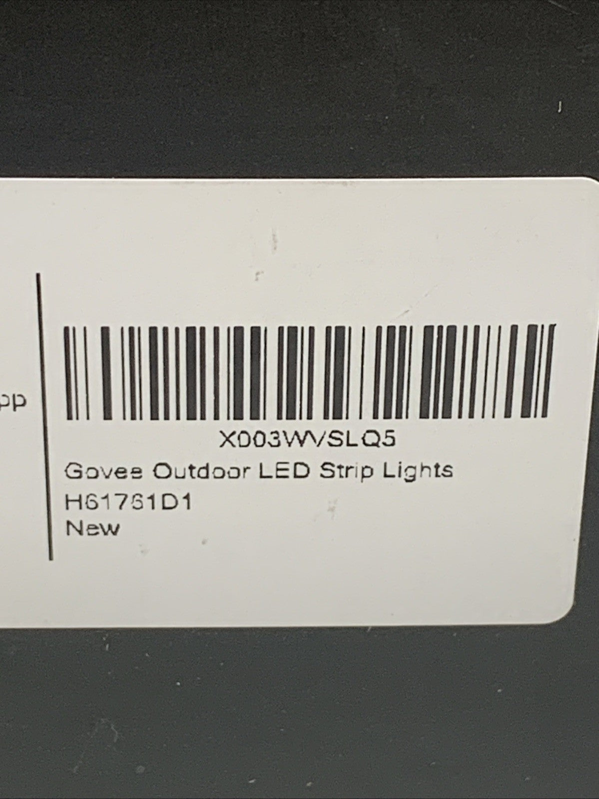 Govee H6176 Outdoor LED Strip Lights 98.4ft Smart Outdoor Lights Work with Alexa