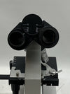 Binocular Compound Microscope, 40X-5000X Magnification, Wide-Angle Eyepiece W...