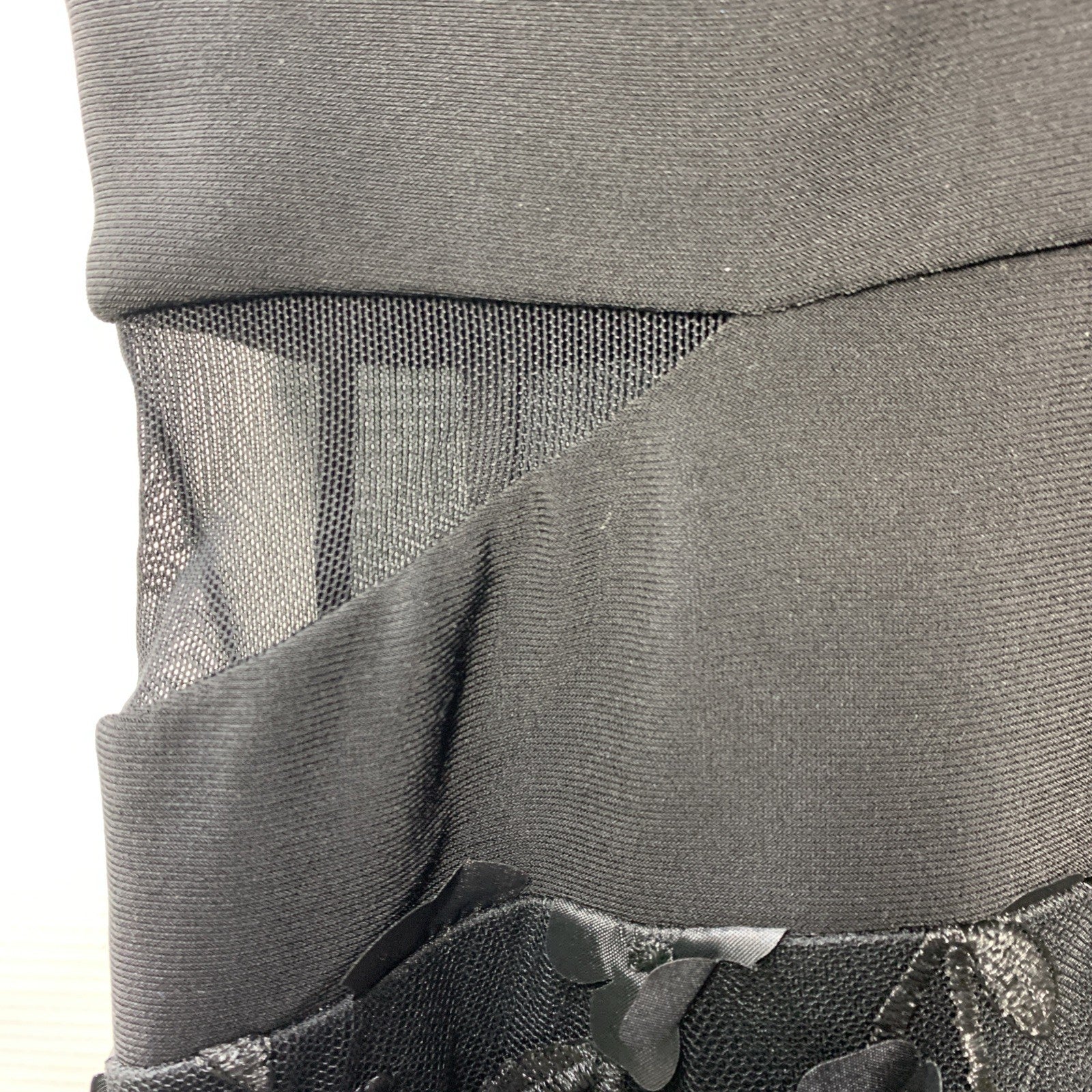 Xscape Sheer Matte Jersey Lace V-Neck Floral Appliques Floor Length Dress 6P