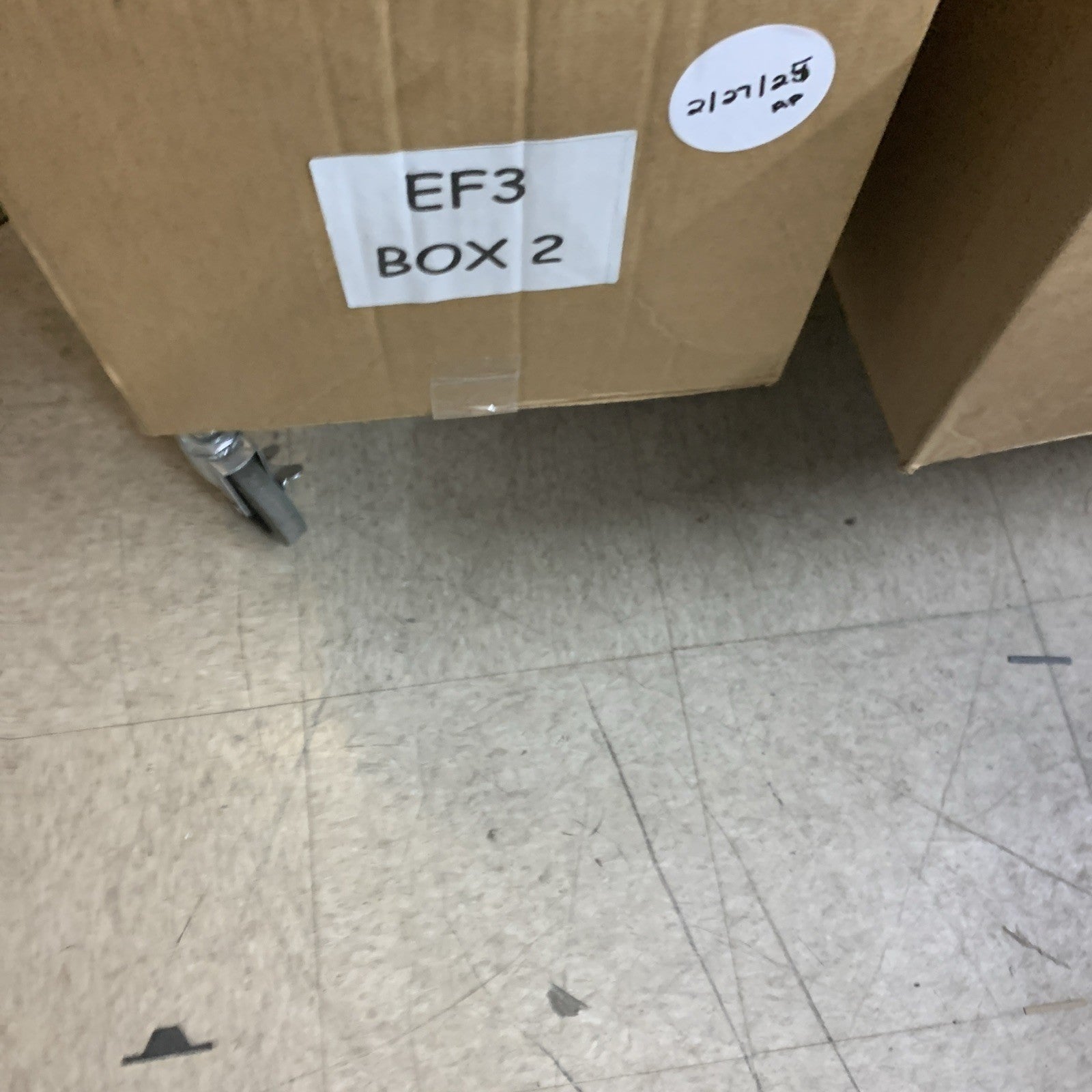 La Blanca Women's Island Goddess Shirred Side One Piece Swimsuit Swimwear Size 8