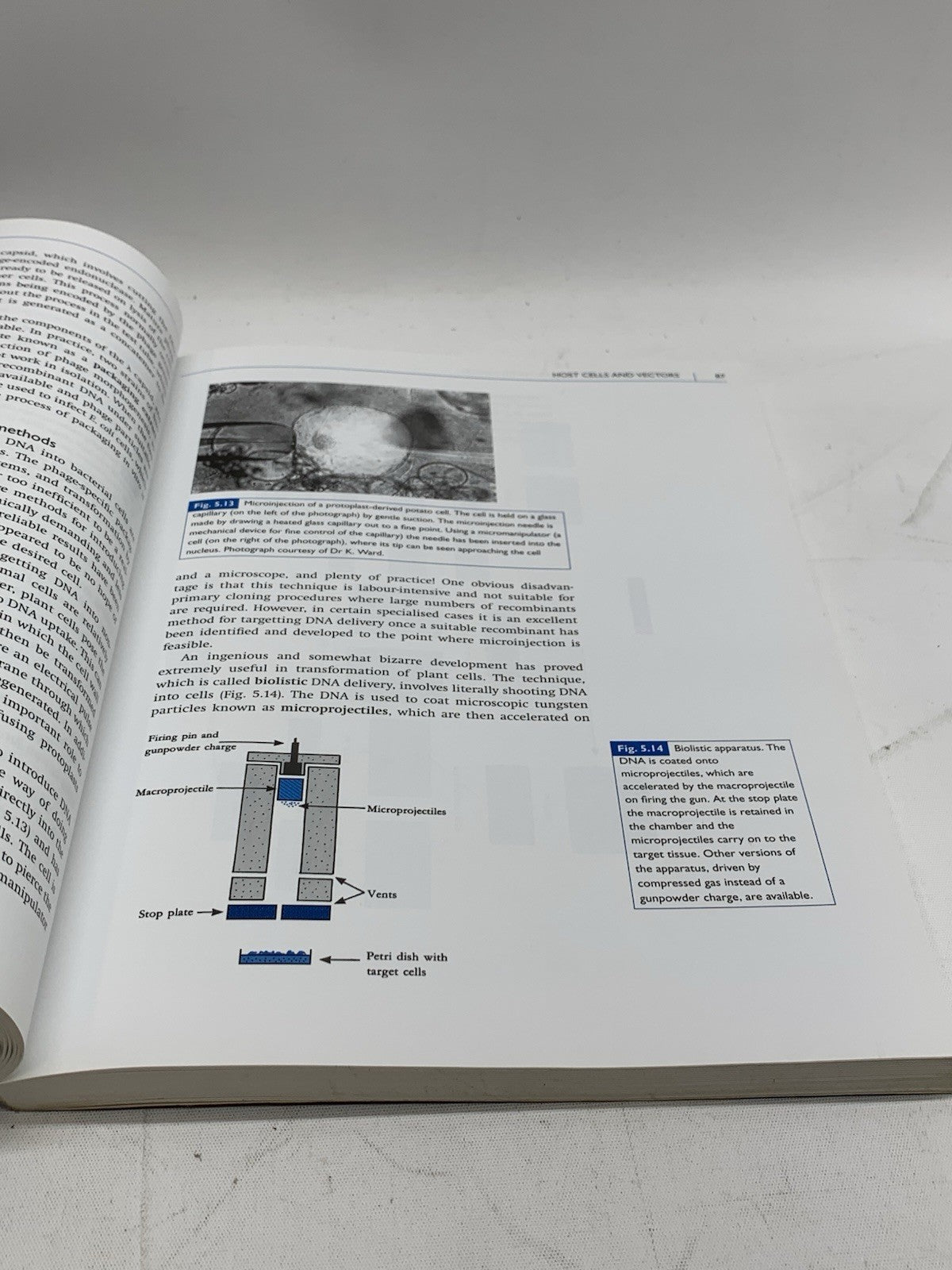 An Introduction to Genetic Engineering 3rd Edition Cambridge by Desmond Nicholl