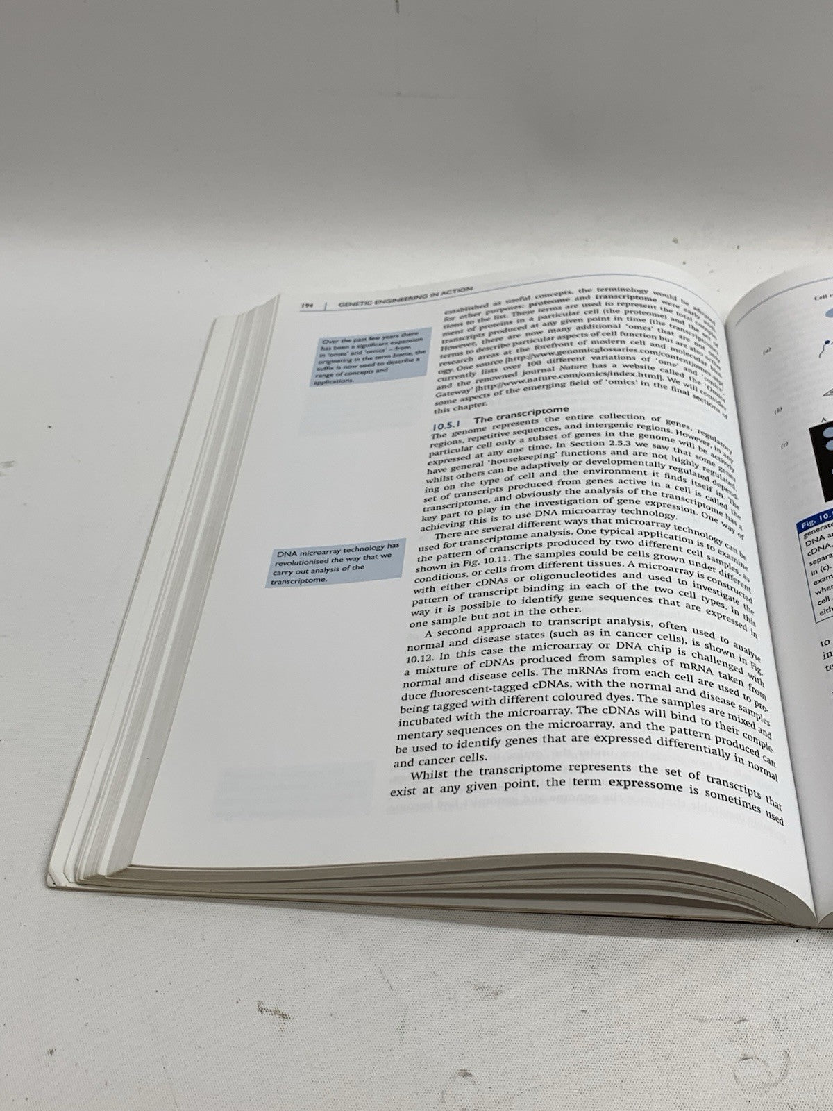 An Introduction to Genetic Engineering 3rd Edition Cambridge by Desmond Nicholl