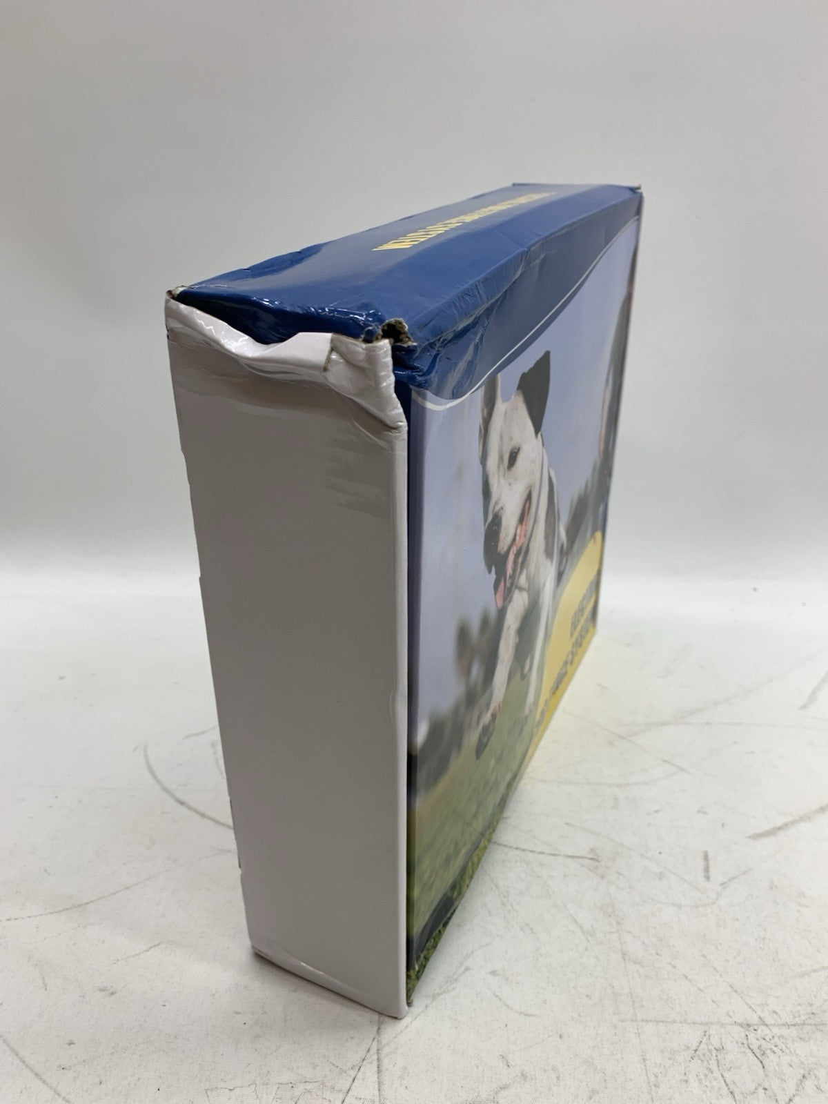 PcEoTllar Electric Fence System Containment for Dogs, Rechargeable Underground