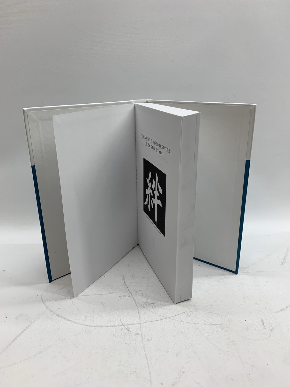 Rajib Shaw Community Based Environment and Disaster Risk Reduction Mngmt - GREAT