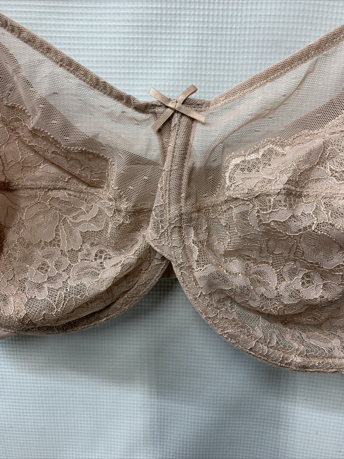 HSIA Lace Minimizer Bra Unlined Unpadded Underwire Sheer Womens 40DDD L Pink