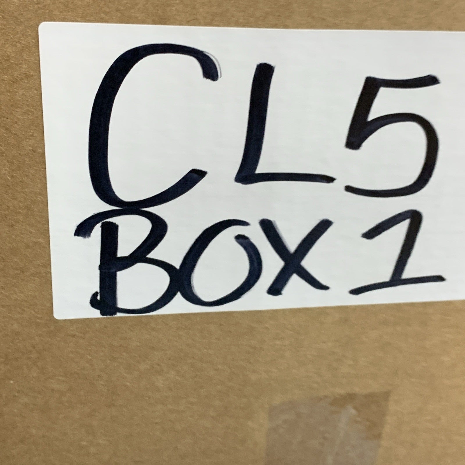 Alfred Dunner Women's Classics Animal Jacquard Crew Neck Sweater Long Sleeve PM