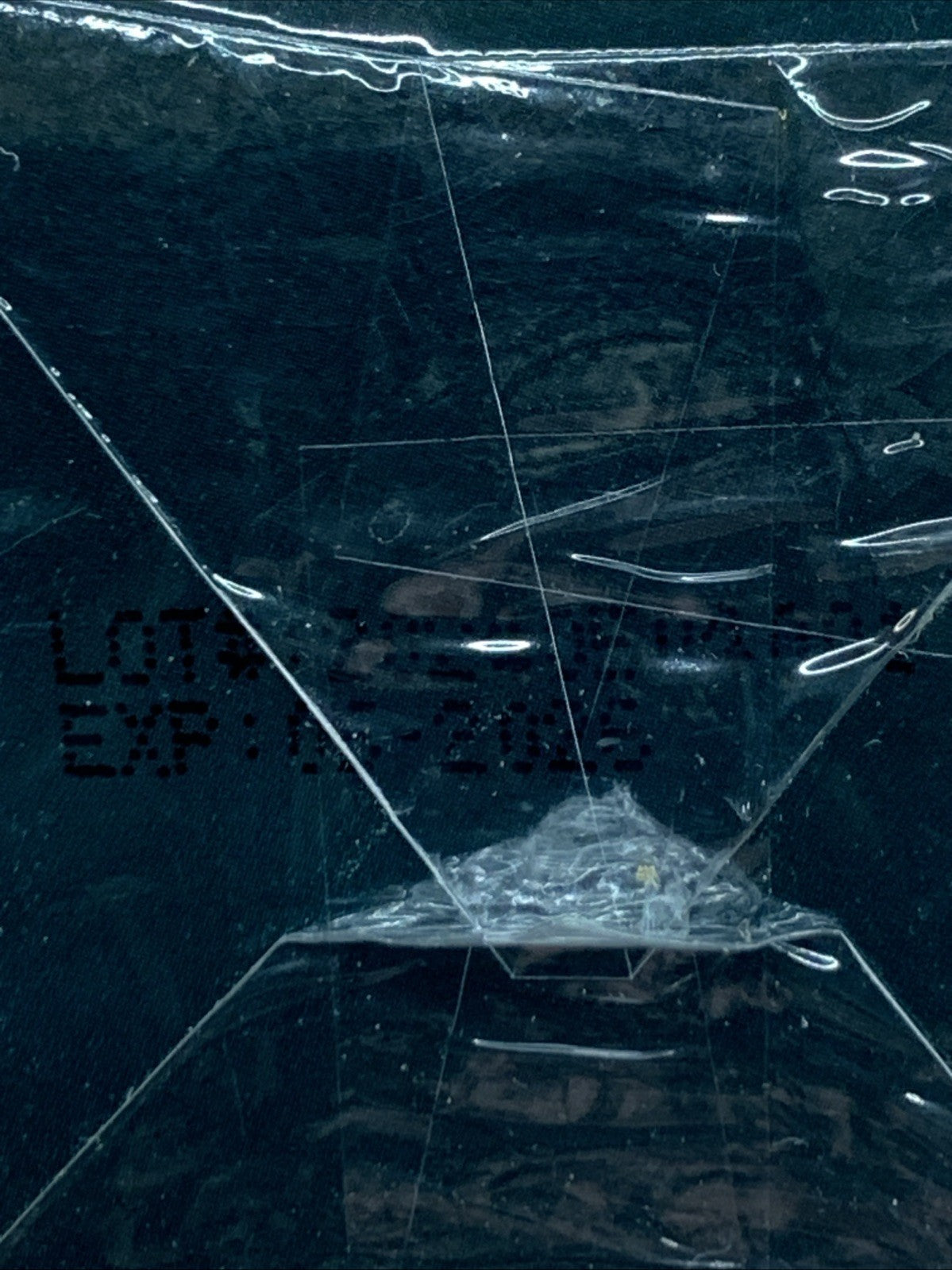 feltwort Mullein Leaf Extract Powerful Non-GMO Sugar Free for Immune Support (2)