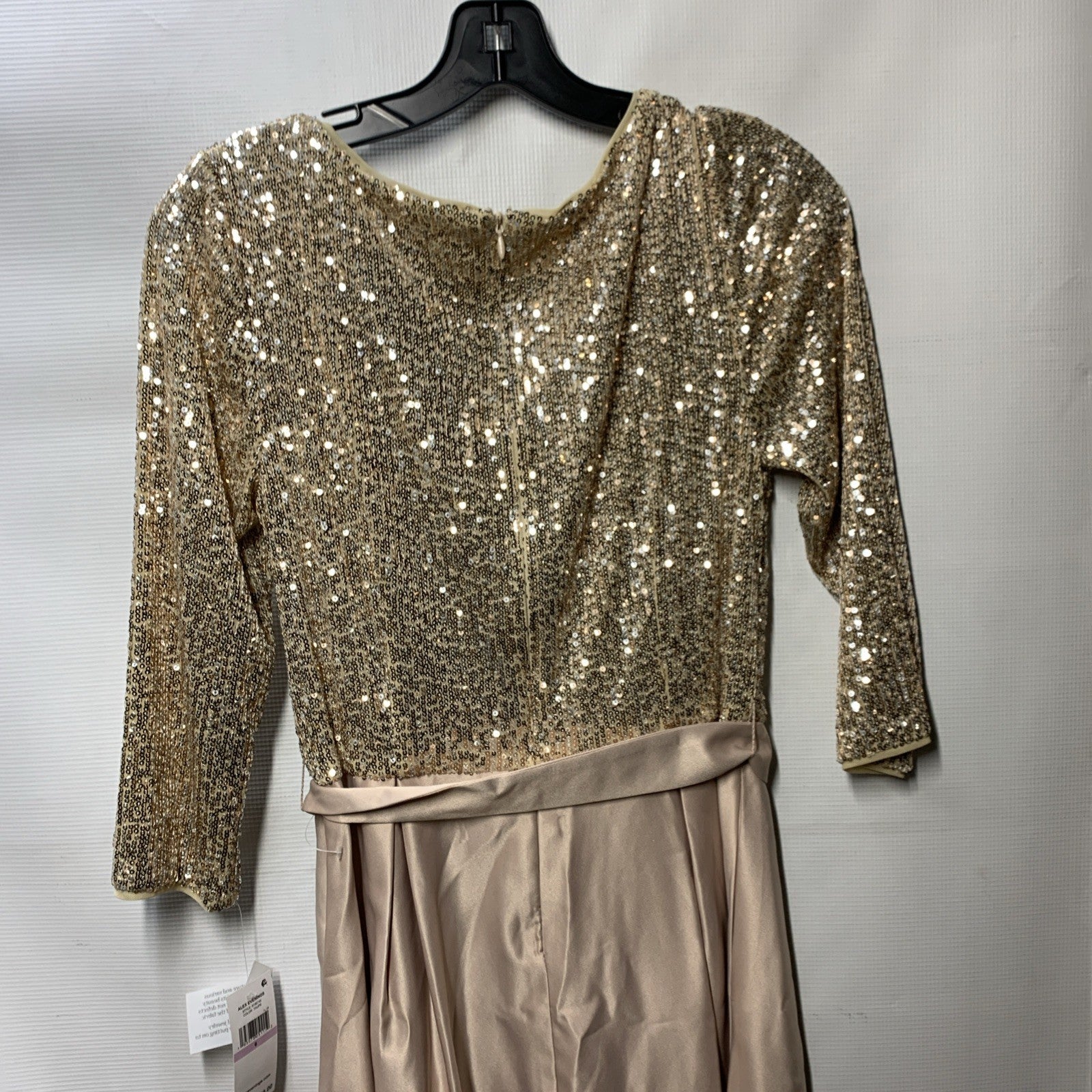 Alex Evenings Women's Ballgown Formal Event Dress V-neckline 3/4 Sleeve Size 6