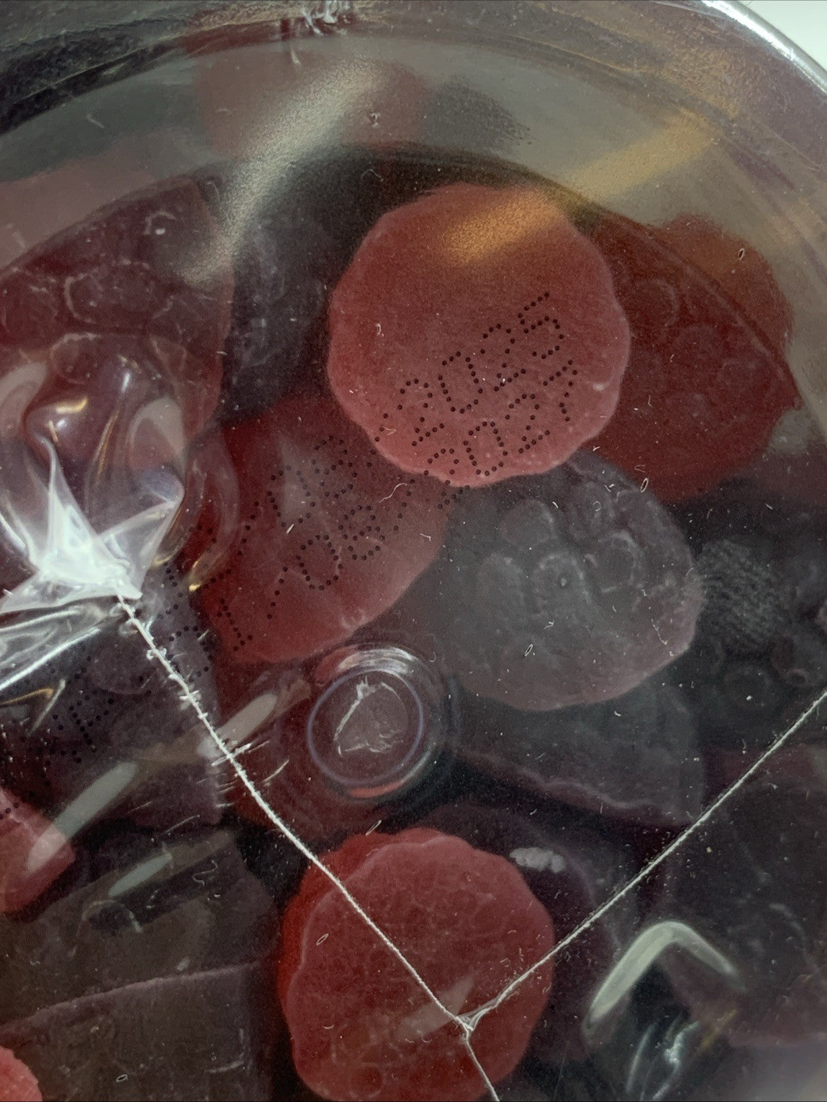 Creatine Monohydrate Gummies Complex 8000mg Advanced Complex 120ct Sugar Free