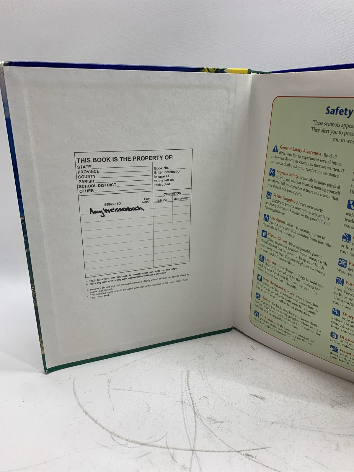 Physical Science: Concepts In Action; With Earth And Space By Michael Wysession