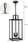 21'' Outdoor Pendant Lantern 2-Light Modern Black Exterior Chandelier Clear Glas