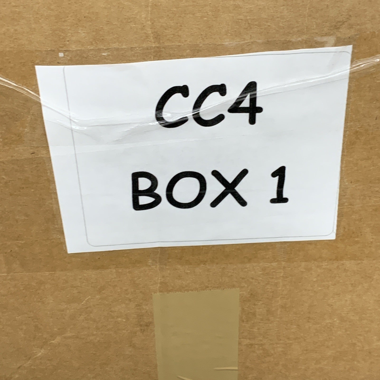 AnneCole Women's Standard Classic One Piece Swimsuit Size 10 Black Swimwear