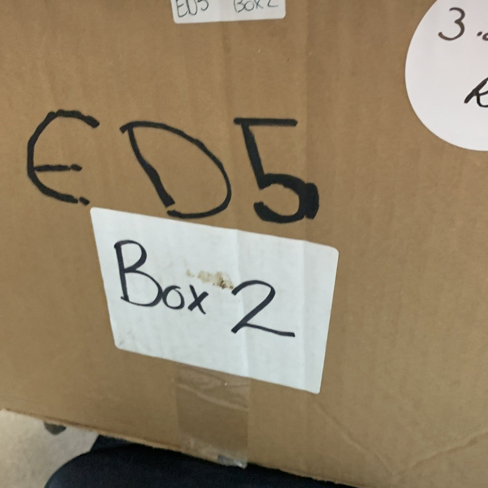 HUDSON Women's Mid Rise Pleated Short Size 33 Moth Collection with Pockets