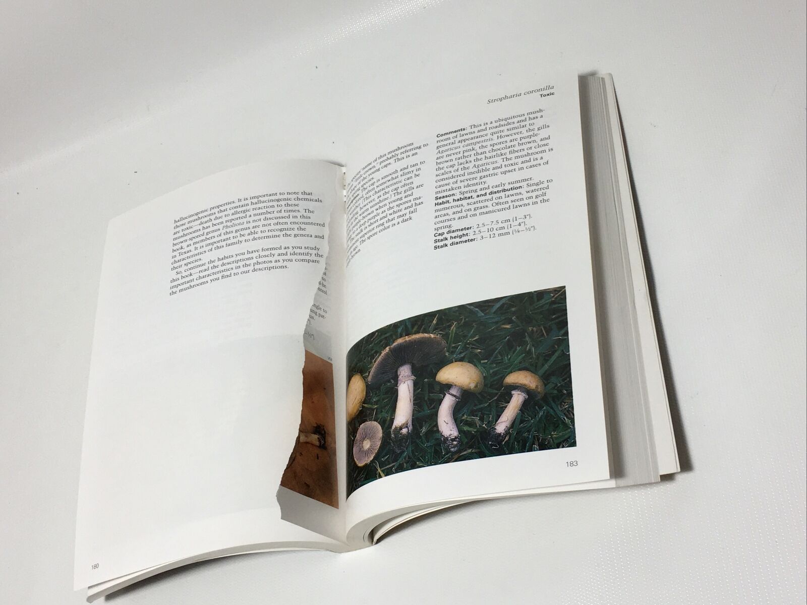 Texas Mushrooms: A Field Guide By Susan Metzler and Van Metzler 1992 First Ed PB