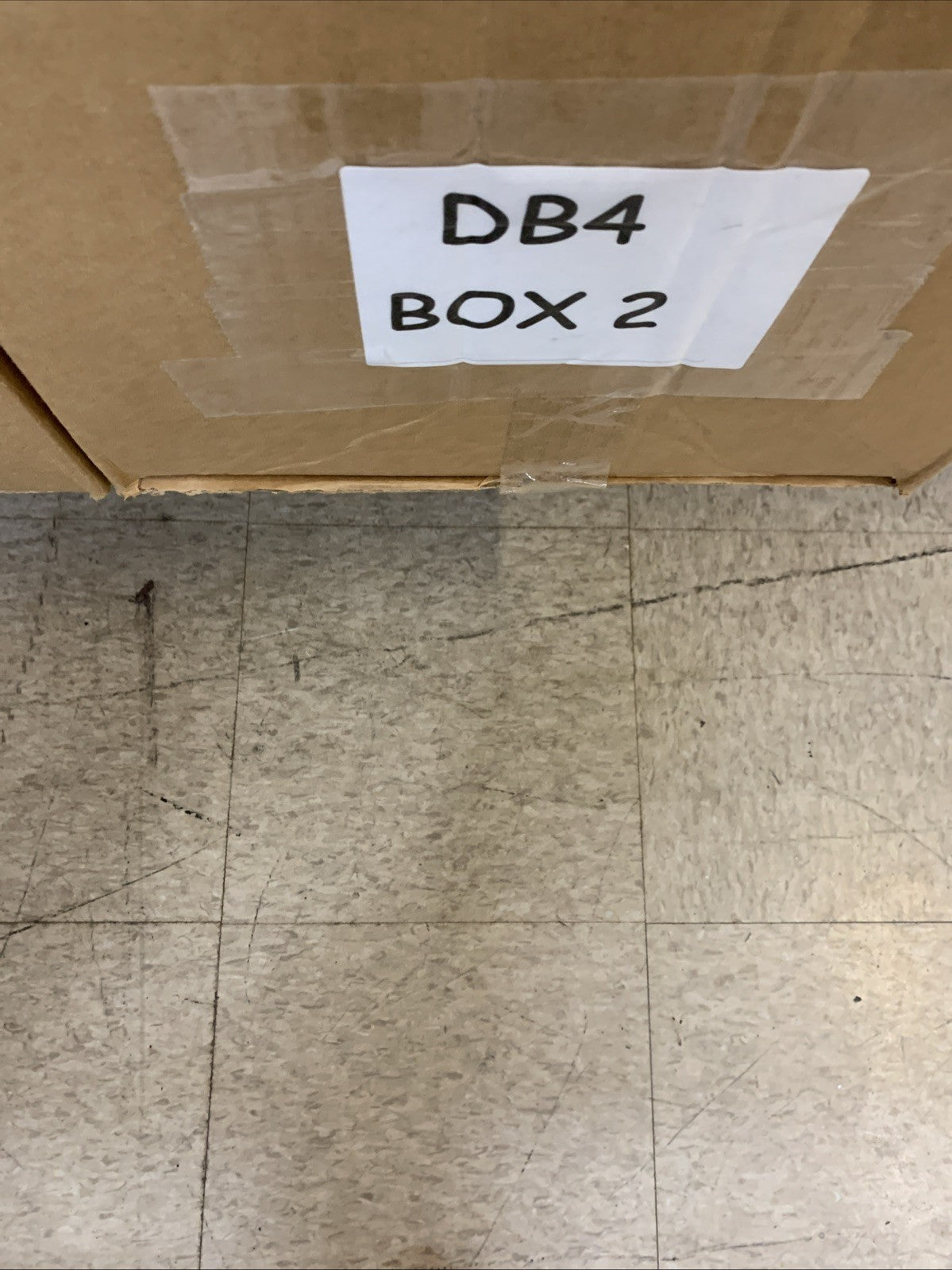 RELLECIGA Women's Triangle Bikini Set Floral Print Size Medium 2-Piece Underwear