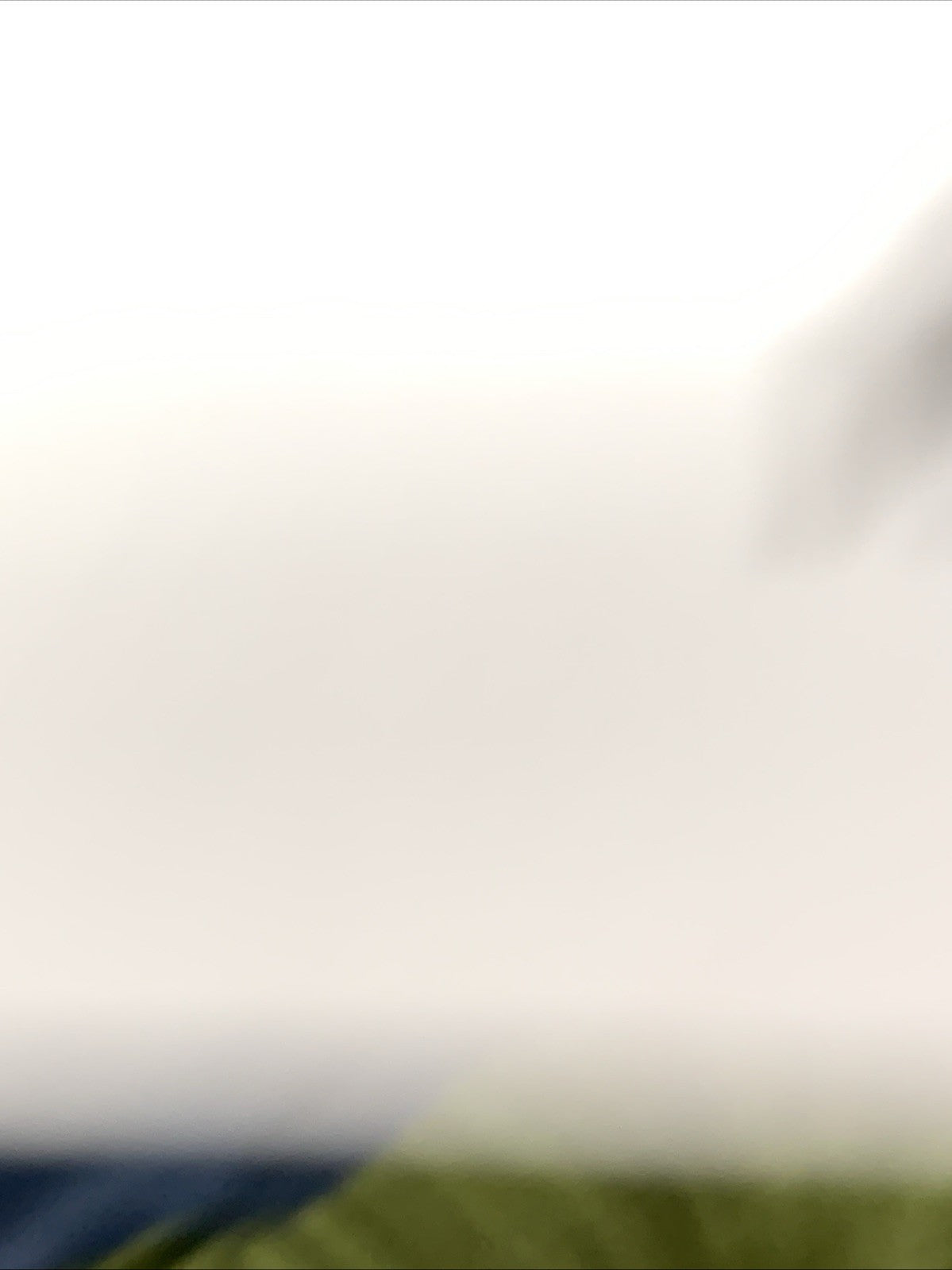 Petal and Pup TF9166-2-PPX Women's Melody Plisse Halter Maxi Dress Olive Size M