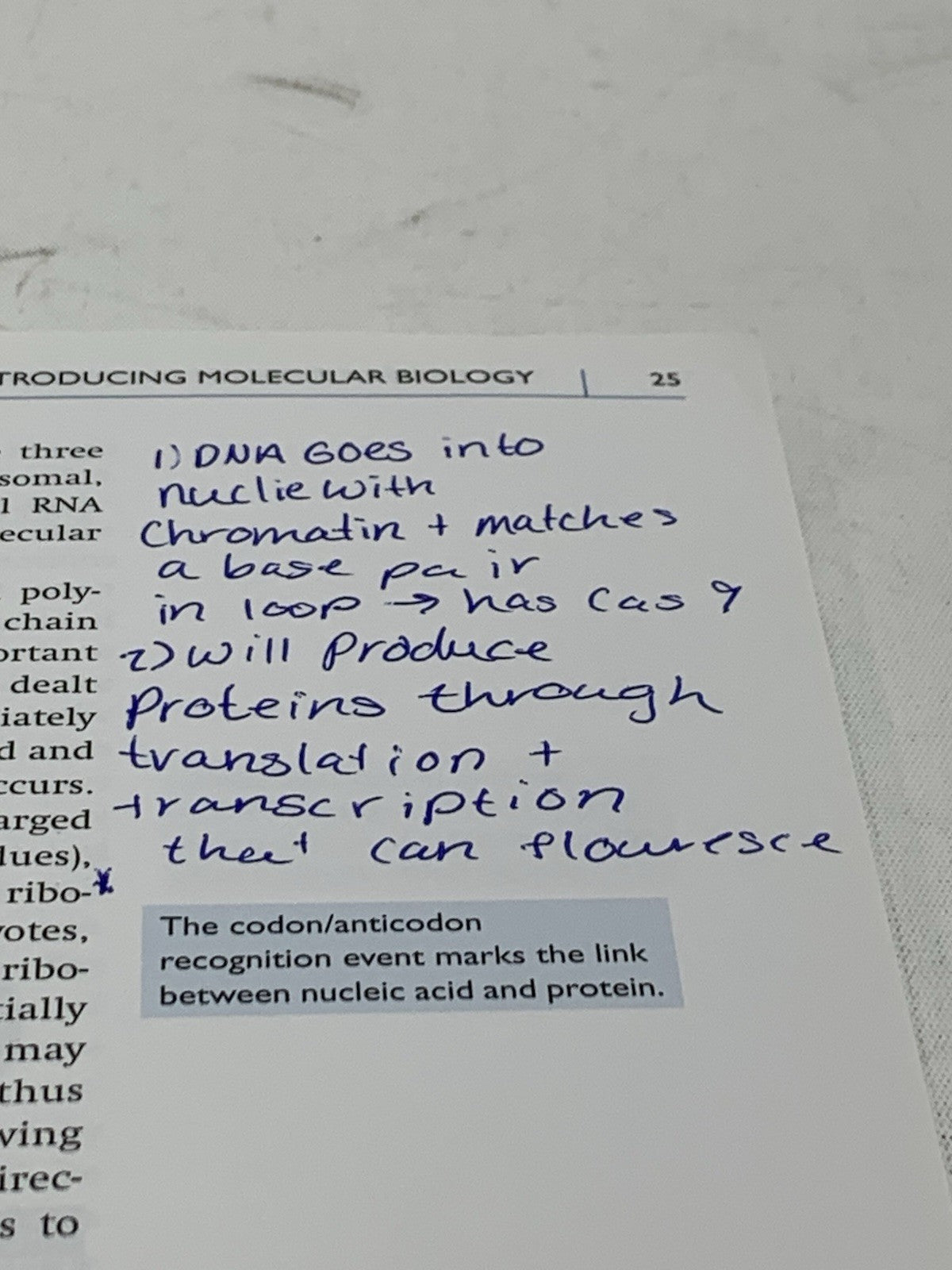 An Introduction to Genetic Engineering 3rd Edition Cambridge by Desmond Nicholl