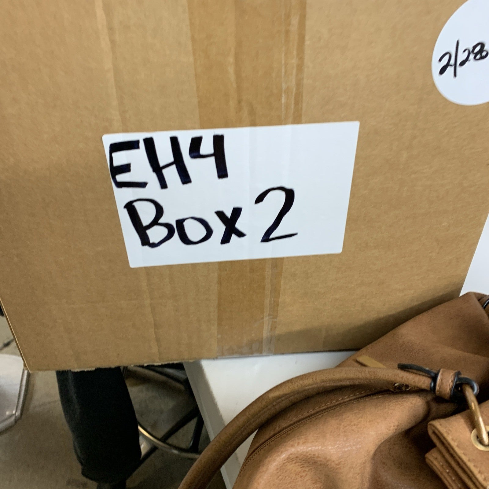 Body Glove Baby Love Molded Cup Triangle Push Up Bikini Top Swimsuit XL Tropical