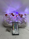 100FT Permanent Outdoor Lights, RGB LED Eaves Lights with APP/Remote Control