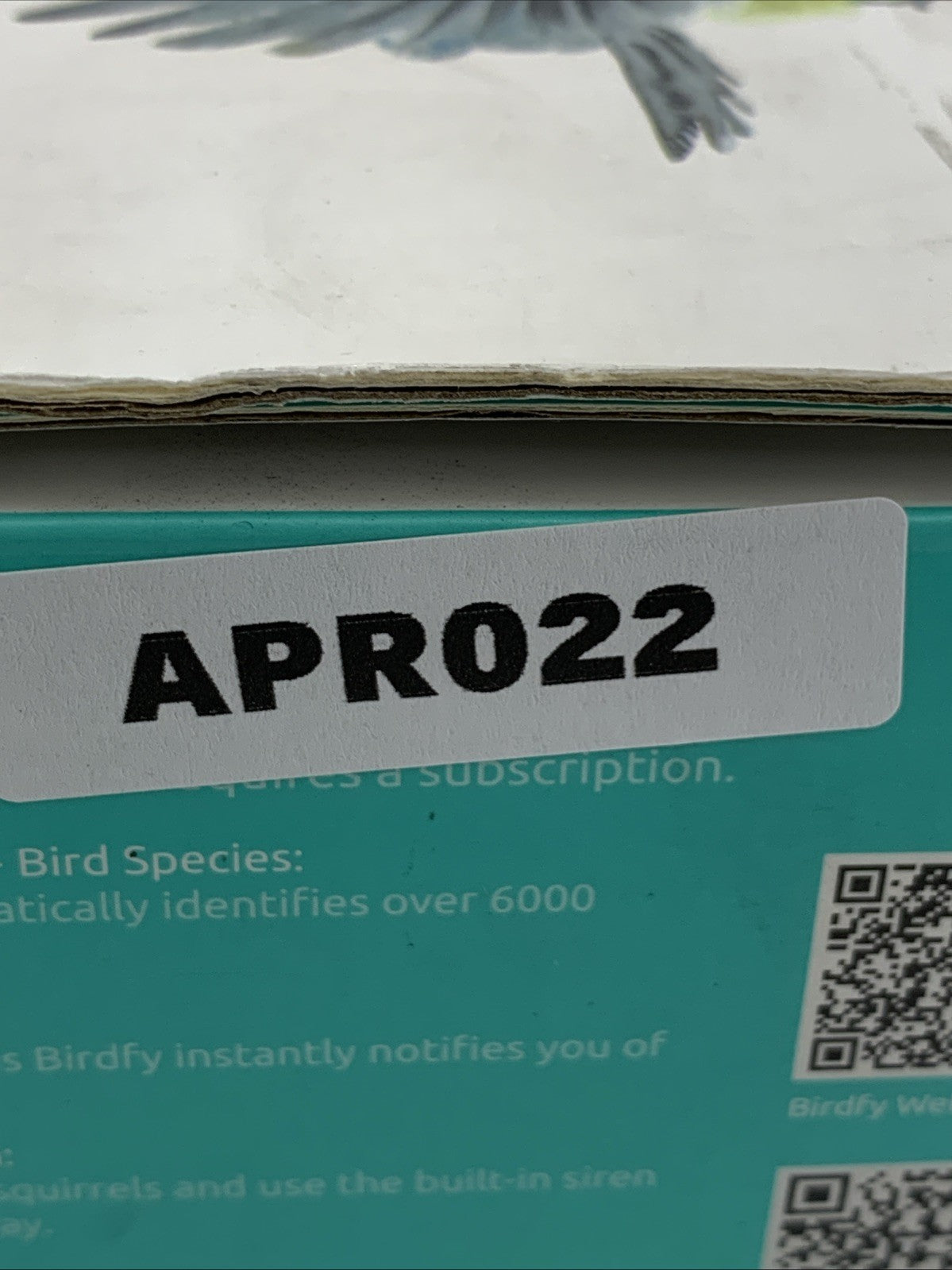 NETVUE Birdfy Cam & Solar Panel FHD Camera for Birdwatching Motion Detection