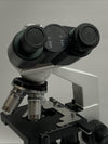 Professional Binocular Microscope with Double Layer Stage Abbe Condenser USED