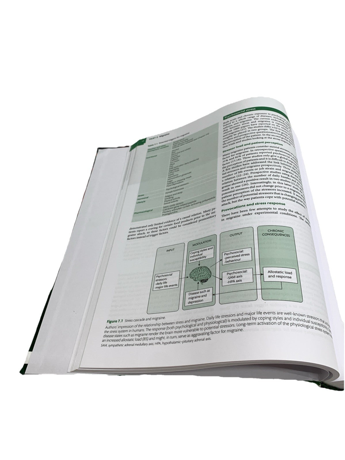 Oxford Textbook of Headache Syndromes by Ferrari, Haan, Charles, Dodick  - GOOD