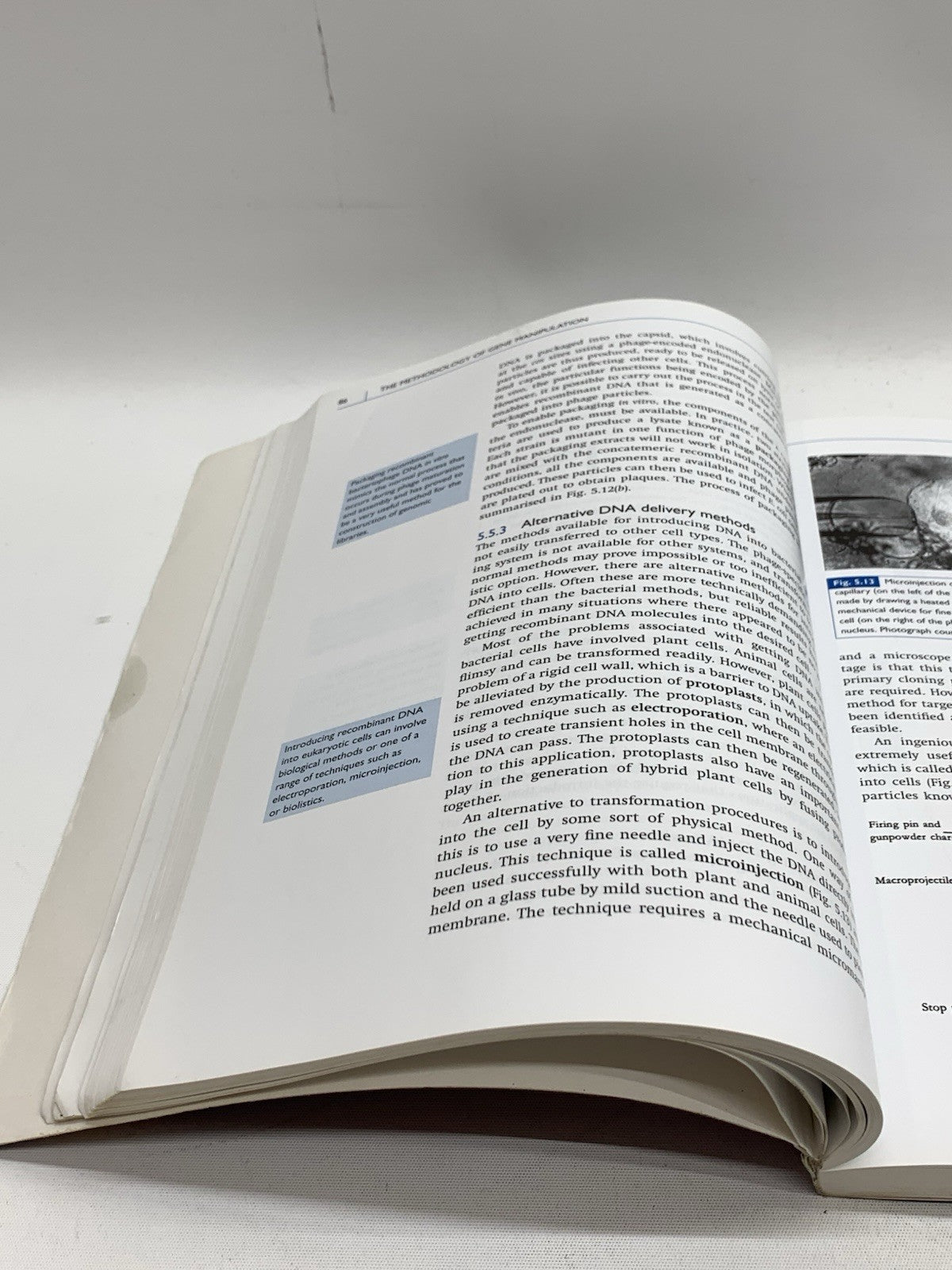 An Introduction to Genetic Engineering 3rd Edition Cambridge by Desmond Nicholl