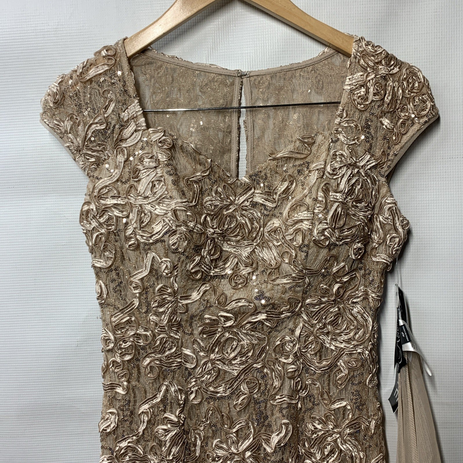 Alex Evenings Women's Long Sleeveless Evening Cocktail Dress with Shawl Size 4P