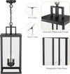 21'' Outdoor Pendant Lantern 2-Light Modern Black Exterior Chandelier Clear Glas