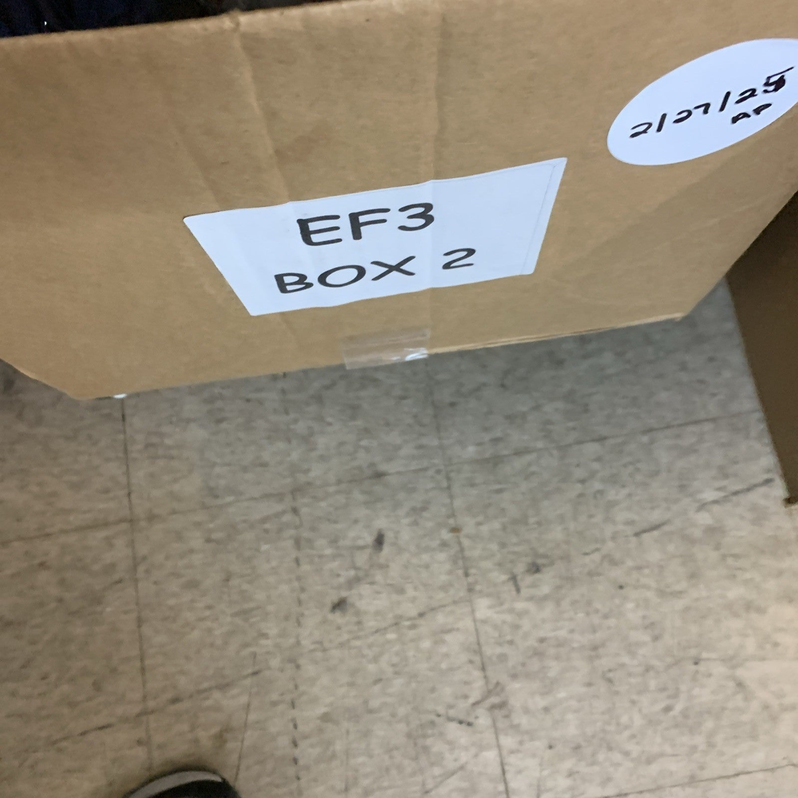 La Blanca Women's Island Goddess Draped Lingerie One Piece Swimsuit Black Size 6