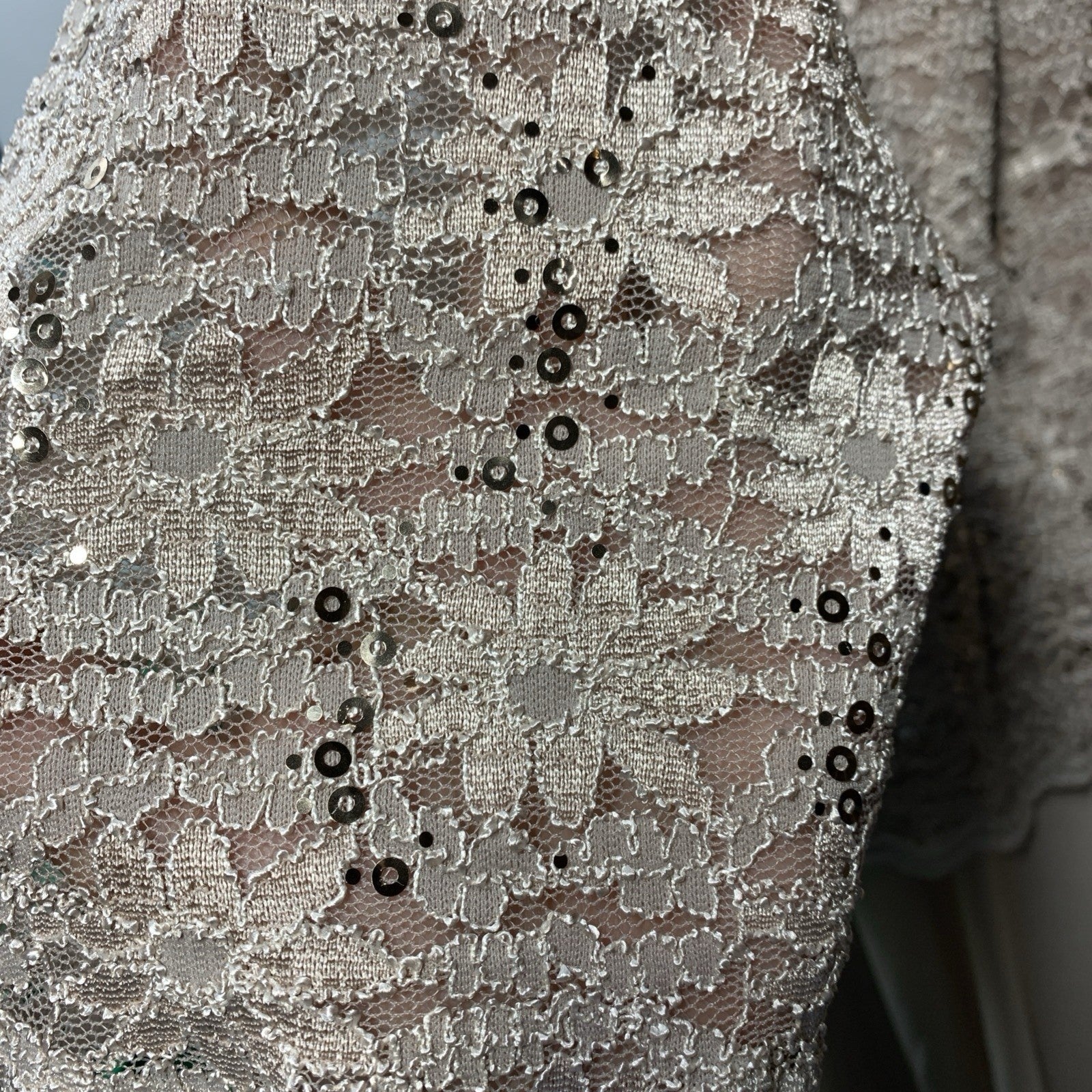 Alex Evenings Women's Tea Length Embroidered Bodice 3/4 Sleeve Size 18W Taupe