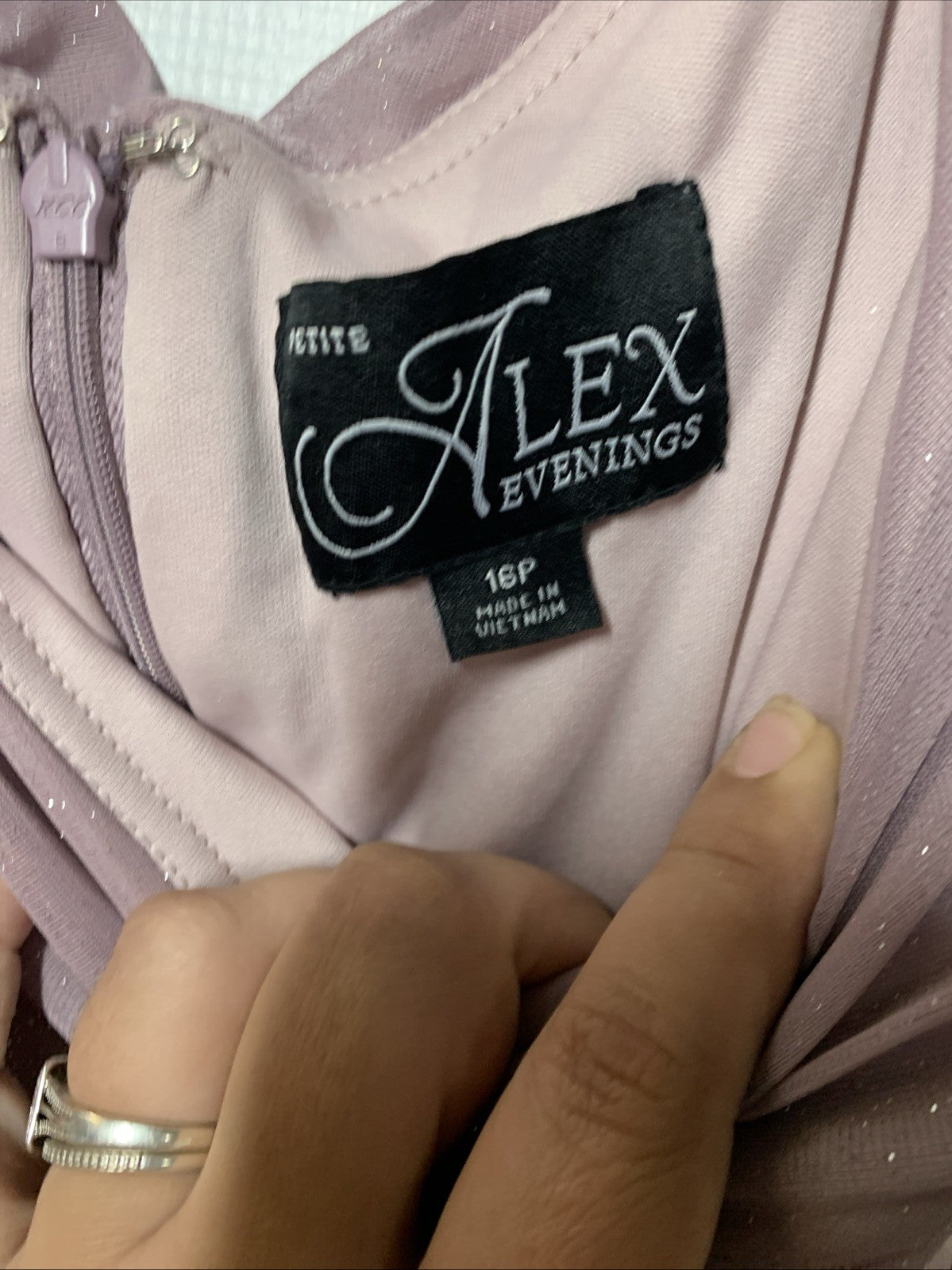 Alex Evenings Women's Long L-Neck Glitter Mesh Dress With Ruched Neck Line 16P